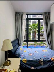 La Fiesta (D19), Condominium #481781381